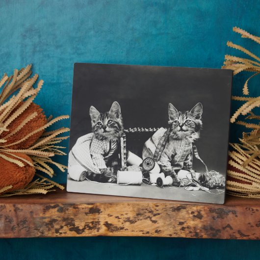 Kitten Mischief Makers 1914 フォトプラーク (側面)