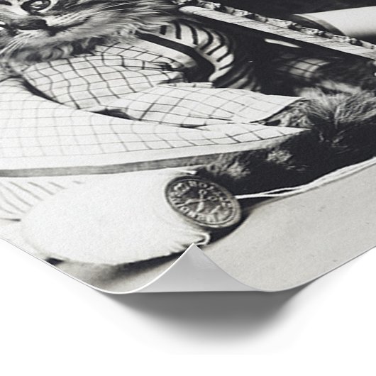 Kitten Mischief Makers 1914 ポスター (角)