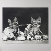 Kitten Mischief Makers 1914 ポスター (正面)