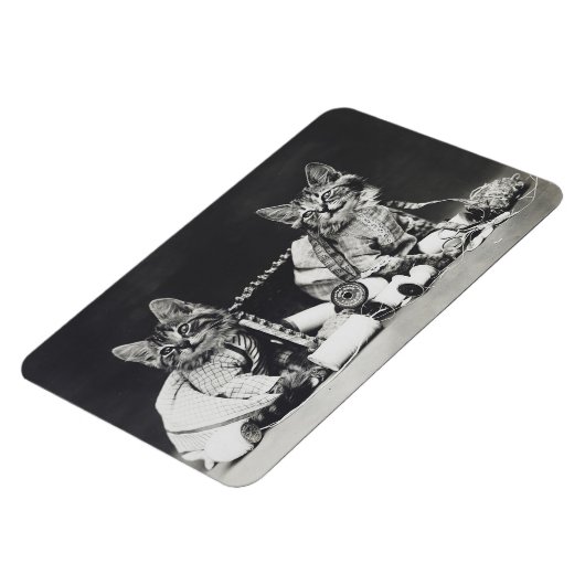 Kitten Mischief Makers 1914 マグネット (左側)