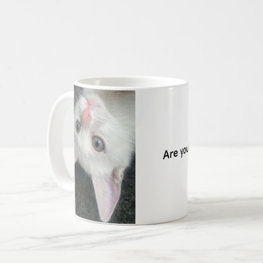 Kitten Mug, Funny Mug コーヒーマグカップ (正面左)