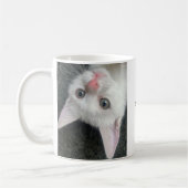 Kitten Mug, Funny Mug コーヒーマグカップ (左)