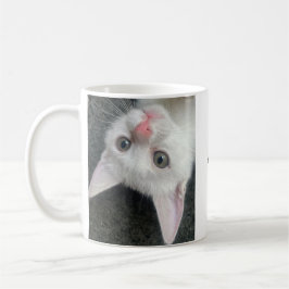 Kitten Mug, Funny Mug コーヒーマグカップ