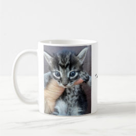 Kitten Mug, Procrastinator Mug, Funny Mug コーヒーマグカップ