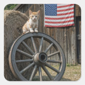 Kitten On an Old Wagon Wheel  スクエアシール (正面)