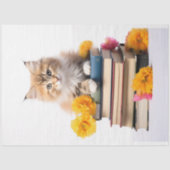 Kitten on Stack of Books 1 Decopage紙 薄葉紙 (正面)