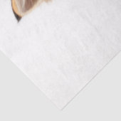 Kitten on Stack of Books 2 Decopage紙 薄葉紙 (詳細)