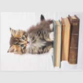 Kitten on Stack of Books 2 Decopage紙 薄葉紙 (正面)