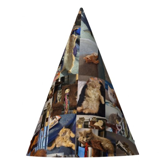 Kitten Photo Collage、パーティー帽子 パーティーハット (正面)