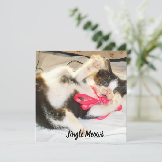 Kitten Photo Text Jingle Meows, Customize,  シーズンカード (スタンド正面)