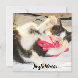 Kitten Photo Text Jingle Meows, Customize,  シーズンカード