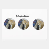 Kitten Photo Text Name,  Replace,  ラッピングペーパーシート (正面3)