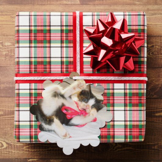 Kitten Photo Text , Tag, Snowflake, Customize  オーナメントカード (インサイチュ (ギフト))