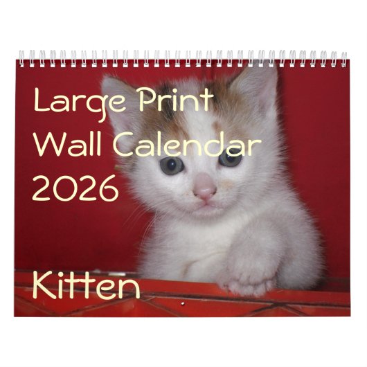 Kitten Photo Wall Calendar 2026 カレンダー (カバー)