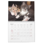 Kitten Photo Wall Calendar 2026 カレンダー (3月 2026)