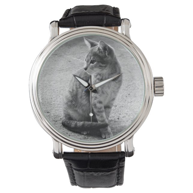 Kitten Photo Watch 腕時計 (正面)