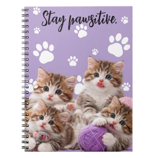Kitten Stay Pawsitive Notebook ノートブック (正面)