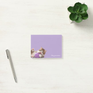 Kitten Stay Pawsitive Sticky Notes ポストイット