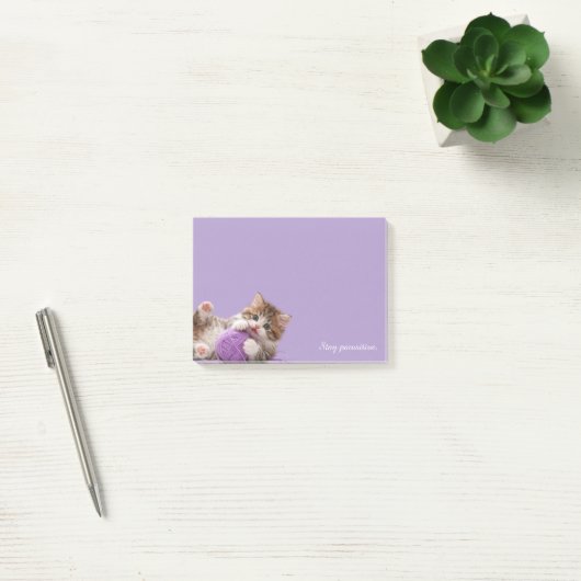Kitten Stay Pawsitive Sticky Notes ポストイット (オフィス)