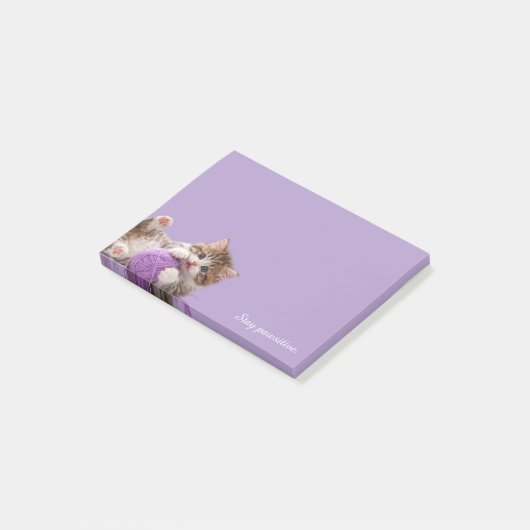 Kitten Stay Pawsitive Sticky Notes ポストイット (アングル)