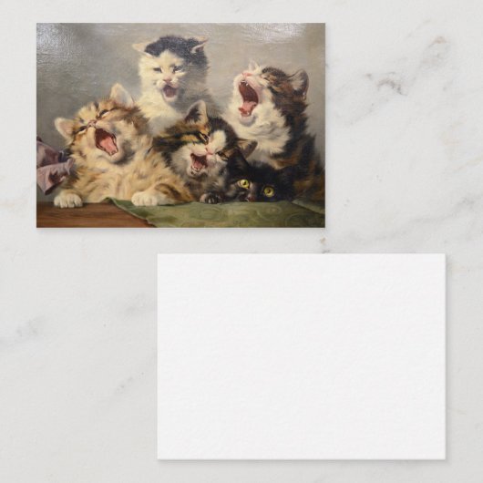 Kitten Symphony by Julius Adam II ノートカード (正面/裏面)