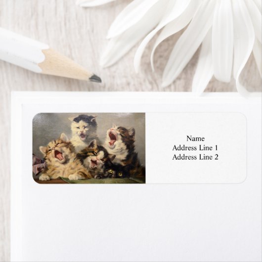 Kitten Symphony by Julius Adam II ラベル (インサイチュ)