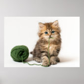 Kitten With Green Yarn ポスター (正面)