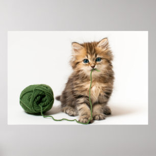 Kitten With Green Yarn ポスター