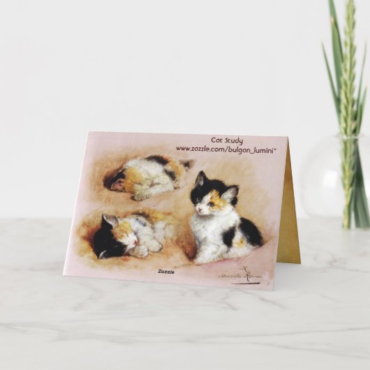 KITTENSの目覚め カード (裏面)