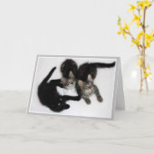 Kittens 考え of Youカード カード (黄色い花)
