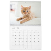 Kittens 2026 Calendar カレンダー (3月 2026)