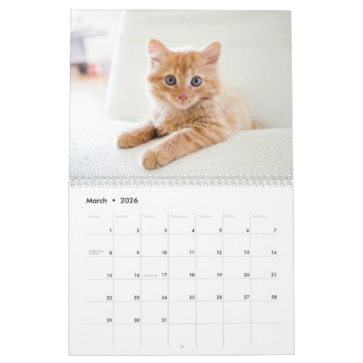Kittens 2026 Calendar カレンダー (3月 2026)