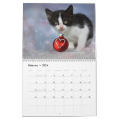 Kittens 2026 Calendar カレンダー (2月 2026)