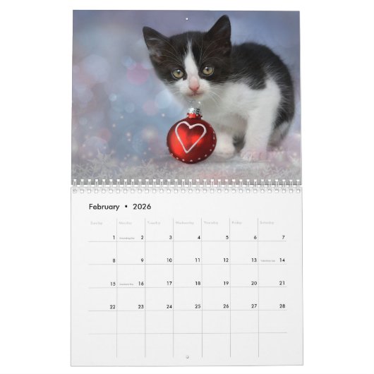 Kittens 2026 Calendar カレンダー (2月 2026)