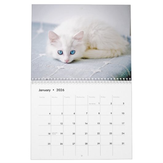 Kittens 2026 Calendar カレンダー (1月 2026)