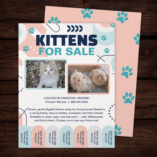 Kittens and Cats For Sale Tear Offs Flyer Template チラシ