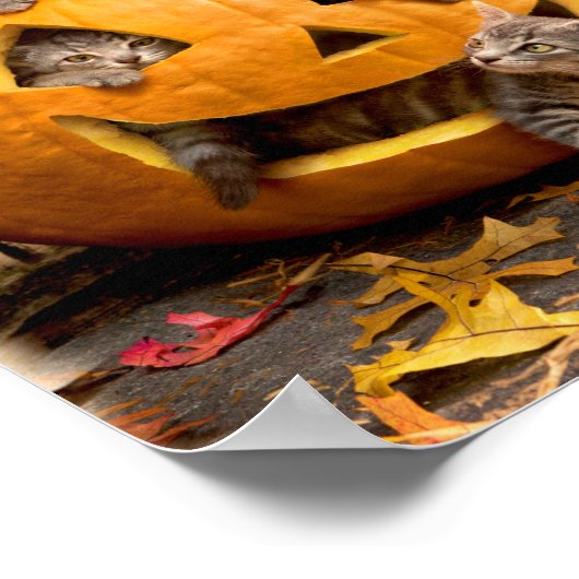 Kittens in Jack-o-Lantern ポスター (角)