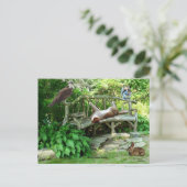 Kittens Wildlife Friendsはがき ポストカード (スタンド正面)