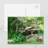 Kittens Wildlife Friendsはがき ポストカード (正面/裏面)