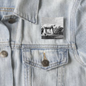 Kitts Cottyの家 缶バッジ (インサイチュ)