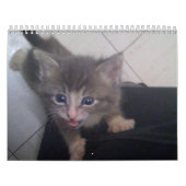 kitttyカレンダー カレンダー (カバー)