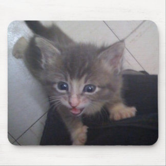 kittty マウスパッド