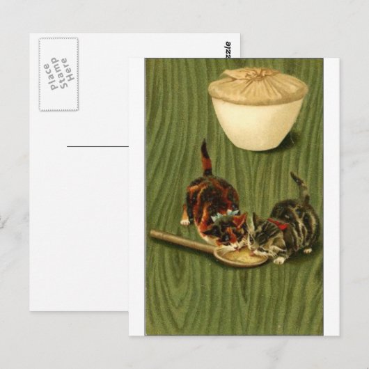 Kitty ポストカード (正面/裏面)