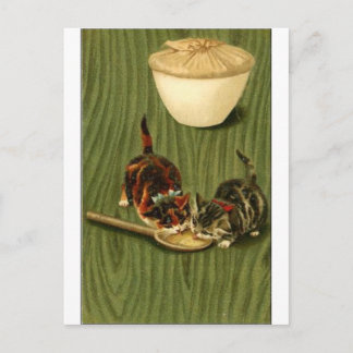 Kitty ポストカード