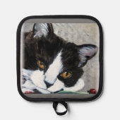 Kitty and ladybuts Oven Mitts & Pot Holders 鍋敷き (正面)