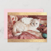 Kitty Angel for Chrismas 案内ポストカード (正面/裏面)