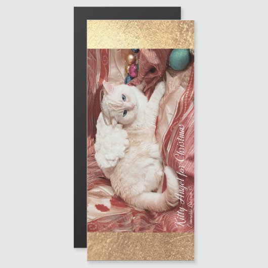 Kitty Angel for Christmas (正面/裏面)