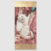 Kitty Angel for Christmas (正面)