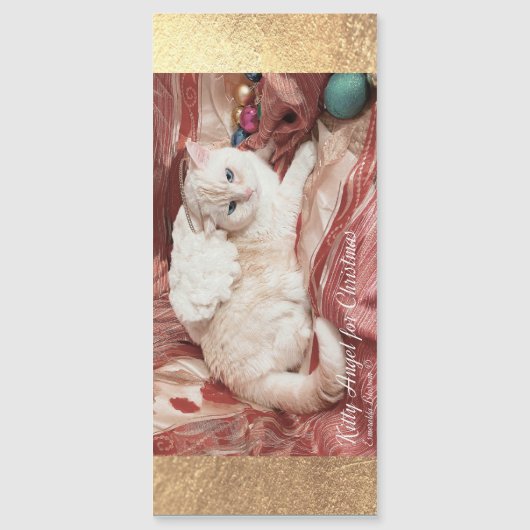 Kitty Angel for Christmas (正面)