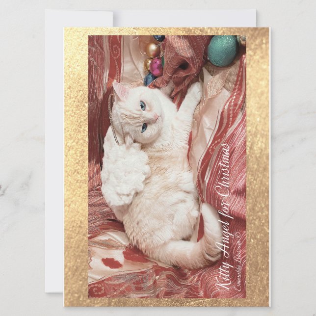 Kitty Angel for Christmas (正面)